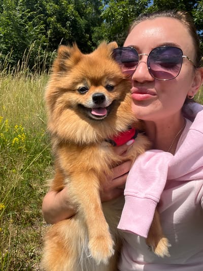 In Karniowice, Poland, a young woman with blonde hair pulled back and wearing large sunglasses and a pink hoodie poses for a selfie, puckering her lips. She is holding a fluffy, orange Pomeranian dog with a red harness in her arms. The dog is looking at the camera with its tongue slightly out. They are outdoors in a grassy area with tall dry grass and trees in the background, illuminated by bright sunlight.