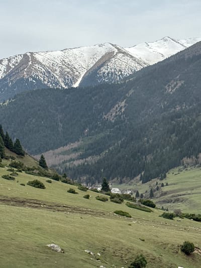 This media file presents a vast mountainous landscape in Grigor'yevka, Kyrgyzstan. The scene is dominated by a large mountain range on the left, featuring snow-capped peaks and upper slopes that transition into dense, dark green evergreen forests covering the mid and lower mountain sides.
To the right, the terrain opens into expansive, gently sloping green pastures or hills, sparsely dotted with individual and small clumps of trees, and a few scattered rocks. The sky above is pale and overcast, providing soft, diffused lighting across the entire landscape without strong shadows, suggesting either an overcast day or early/late daylight hours.
A very small, bright white speck is faintly visible against the dark forest background in the middle distance, which could be a distant object like a small aircraft or a bird, though its exact identification is not clear. There are no visible people, animals, or explicit activities taking place, creating a serene and natural portrayal of the mountainous environment. No text is visible in the image.