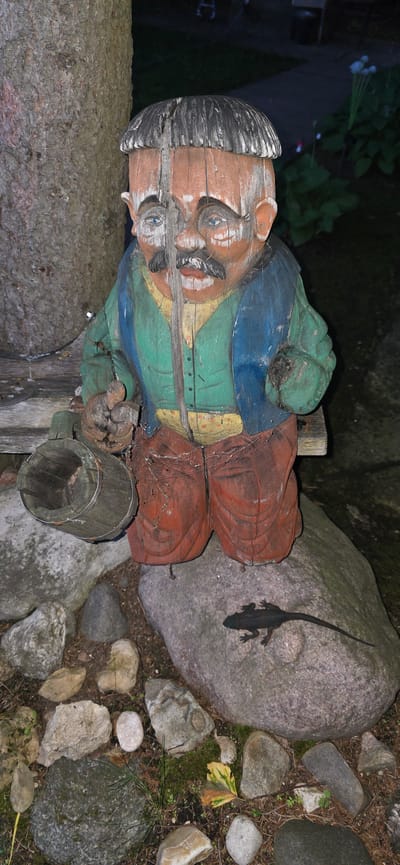 A carved wooden gnome statue sits on a bench amidst rocks and foliage at night. The gnome is depicted with a weathered, painted face, a mustache, and is dressed in a green vest over a yellow shirt and red pants. A wooden bucket is held in its left hand. To the right of the statue, a small dark lizard is positioned on a large rock. The background shows a blurry path and greenery, indicating an outdoor setting, possibly a garden or yard in Электротехник Снт, Russia.