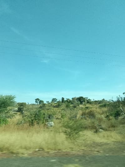 This image depicts an outdoor daytime scene in Jibilik, Nigeria, characterized by an expansive, clear light blue sky occupying approximately the upper two-thirds of the frame. Three dark, thin horizontal utility wires traverse the sky in the upper-middle section. The lower third of the image features an undulating, dry landscape covered in a mix of yellowish-brown and green vegetation, including sparse trees, shrubs, and dry grasses. Several light-colored rocks are visible on the slopes, partially obscured by the foliage. The very bottom edge of the image shows a blurred, dark surface, consistent with a road or ground viewed from a moving perspective. No individuals, animals, or specific actions are discernible within the frame.
