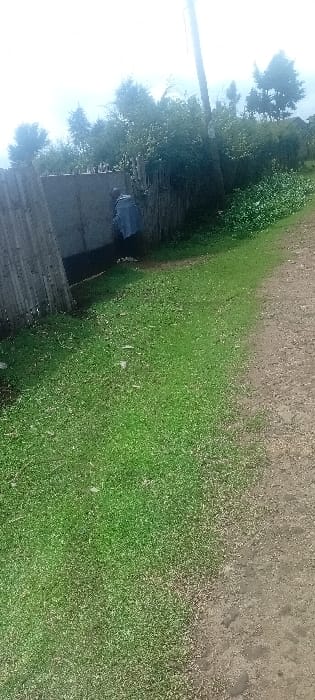 The scene is an outdoor environment in the city of Rwanyambo, Kenya, characterized by a boundary fence, vegetation, and a dirt path. In the foreground, green grass occupies the left side, transitioning to a light brown dirt path or unpaved road on the right. A partially constructed fence extends across the mid-ground. The fence's lower section appears to be a light-colored concrete or block wall, topped by or adjacent to vertical wooden poles or slats. Behind and partially obscured by this fence, a dark-skinned individual is visible. A light blue or grey garment is draped over the wooden section of the fence, partially obscuring the individual's upper body and head. A dark-skinned arm is discernible on the left side of the fence, reaching downwards. In the background, a dense line of various trees and shrubs is present. A tall, slender utility pole, likely wooden, extends vertically into the bright, overcast sky.