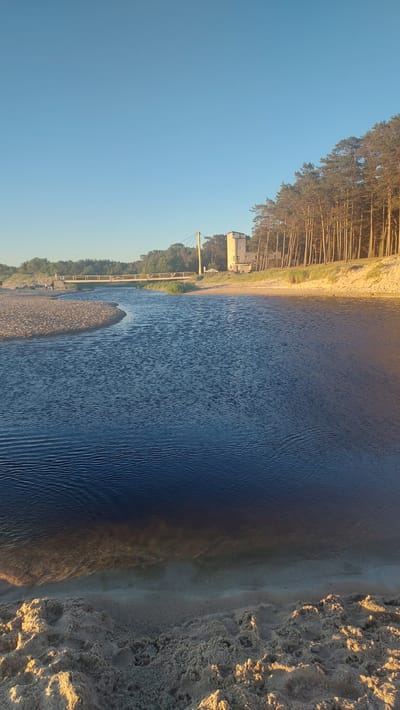 The image depicts a tranquil scene at the mouth of the Vääna River in Vääna-Jõesuu, Estonia, where it meets the Baltic Sea. The clear blue sky dominates the upper portion of the frame. In the middle ground, a calm, dark blue river flows towards the viewer, with gentle ripples on its surface. The riverbanks are lined with sandy shores and a dense growth of tall pine trees, which cast long shadows in the warm, low-angled sunlight. A modern, light-colored bridge spans the river in the distance, with a few indistinct figures visible on or near it. To the right, a light-colored, multi-story building with a tower stands near the pine forest. The foreground is composed of coarse sand with distinct paw prints, suggesting the presence of animals. The overall atmosphere is serene and natural, characteristic of a coastal landscape.