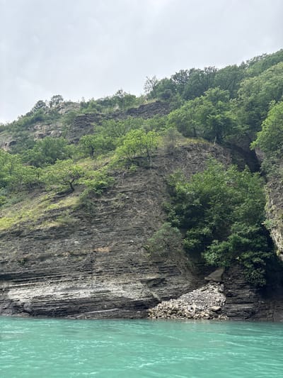 The image shows a steep, layered rock cliff face partially covered with green vegetation and trees, rising above a body of bright turquoise water. The rock layers are predominantly dark grey and appear to be sedimentary, with some lighter, possibly eroded sections. Small trees and shrubs grow from crevices and ledges on the cliff. The water is calm and reflects the overcast sky, which is a light grey. The scene appears to be a natural landscape, likely a river or lake bordered by a mountain or canyon. There are no people or specific man-made structures visible. The location is described as Zubutli, Russia, suggesting this is a natural attraction within or near that area.