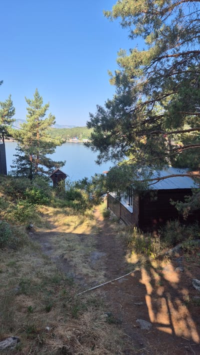The image depicts a serene waterside scene with several wooden structures nestled among pine trees. A pathway leads down a grassy slope towards a tranquil body of water, likely a lake or reservoir, bordered by lush green hills and distant buildings. The sky is a clear, bright blue. On the right side of the pathway, a small, dark wooden cabin with white-trimmed windows sits partially obscured by overhanging pine branches. To the left and further down the slope, a smaller, dilapidated wooden structure with a steep roof and an open doorway is visible. The overall impression is one of a secluded, natural setting, possibly a vacation or residential area by the water, and is characteristic of locations found in the vicinity of New Bukhtarma, Kazakhstan, a region known for its scenic mountain and lake landscapes. No people are present in the image.