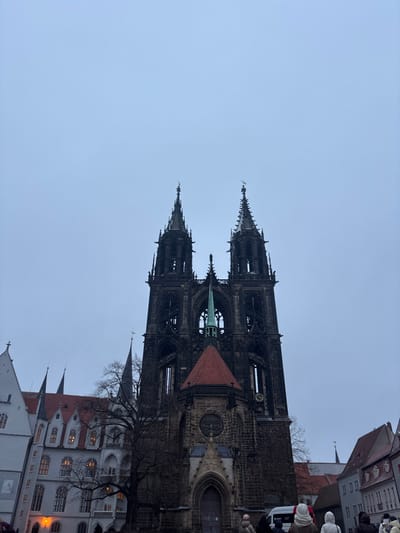 An imposing, dark-stone gothic cathedral towers against a pale sky. Its two main spires are intricately detailed and appear to be very old. A smaller, green spire rises between them. Architectural details and arched windows are visible on the building's facade. Lower buildings with red-tiled roofs are also captured within the frame.