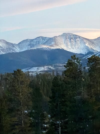 A snow-capped mountain range dominates the left side of the image, its peaks casting blue shadows. The sky is pale and gradient. To the right, dense evergreen trees frame the scene. The transition between the mountain and the forest is sharp. The entire composition is rotated 90 degrees counter-clockwise.