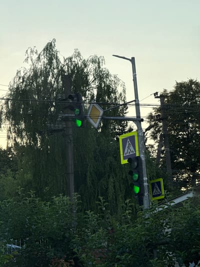 A traffic light with a green light illuminated is visible in the foreground. Above the traffic light, a yellow and blue sign depicting a pedestrian crossing is mounted. Trees with dark green foliage frame the scene on the right side. Another pedestrian crossing sign is also visible on the upper right. The sky in the background is a pale, overcast white, suggesting it may be daytime with cloudy weather. Power lines crisscross the image, indicating an urban or semi-urban setting. The overall scene appears to be a street in Horenychi, Ukraine, at an indeterminate time of day due to the overcast sky. There is no text visible in the image other than what is on the traffic signs.