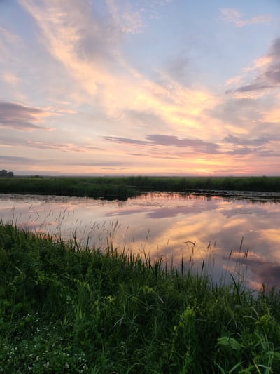 This is a vertical, wide-angle, eye-level shot of a tranquil sunset scene in Atameken, Kazakhstan. The image is dominated by a sky filled with wispy clouds, painted in soft hues of pink, orange, and purple, reflecting beautifully on the calm surface of a narrow body of water. This water runs horizontally across the frame, creating a mirror image of the sky and the lush green vegetation lining its banks.

On the right side of the frame, a dense growth of tall green grass and wild flowers stands vibrantly, partially obscuring the reflection. The grass appears healthy and well-watered, suggesting a natural, uncultivated landscape. A few stalks of dry grass poke out from the main growth, adding texture to the scene.

The left side of the frame shows the sky in its full glory, with the soft light of the setting sun casting a warm glow. The horizon line is barely visible, where the sky meets the distant landscape. The reflection in the water perfectly mimics the sky, creating a sense of symmetry and depth.

The overall mood of the image is serene and peaceful. The lack of human presence or man-made objects contributes to the natural beauty of the scene. The time of day is clearly sunset, indicated by the colors of the sky and the soft lighting. The weather appears calm and clear, ideal for capturing such a picturesque reflection. The location cues, such as the specific type of vegetation and the vast, open sky, are consistent with a rural or semi-rural setting in Kazakhstan. There is no visible text in the image.