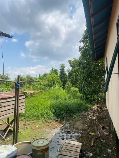 The image depicts an outdoor scene near a building in Berangas Timur, Indonesia. The foreground shows a muddy area with standing water, scattered debris including plastic wrappers and what appears to be a piece of wood. Two large buckets are visible, one of which is a green Jotun paint bucket. A small wooden walkway is partially submerged in the muddy water. To the left, a wooden structure on stilts with a corrugated metal roof is present. Beyond this, dense green vegetation dominates the midground, with tall grass and various trees, including banana trees, filling the space. A wooden post with blue rope tied around it stands near the structure. In the background, more trees and foliage can be seen under a bright blue sky with scattered white clouds. A portion of a building with a beige wall and a green-trimmed roofline is visible on the right side of the frame. The overall impression is one of a humid, tropical environment with evidence of both natural growth and human activity.