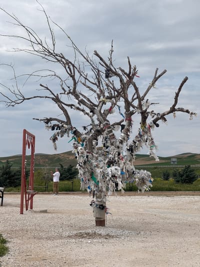 The image shows a barren tree in an outdoor location in Şereflikoçhisar, Turkey. The tree's branches are covered in numerous small white plastic bags and ribbons. An elderly man is standing in the background near the tree on a flat, gravelly surface. He is wearing a white short-sleeved shirt and khaki pants. A red metal structure is in the foreground, possibly a frame or art installation. The background features rolling hills and greenery under a cloudy sky.