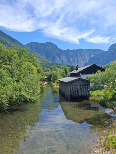 This image captures a serene natural landscape in Obertraun, Austria. A clear, shallow river flows towards the viewer, its bottom visible through the pristine water, revealing a gravelly bed. On the right bank of the river, a rustic wooden boathouse with vertical slats stands partially submerged in the water, its reflection a clear mirror on the surface. Behind the boathouse, a larger house with a dark roof and white lower section is visible, its chimney emitting a faint plume of smoke, suggesting occupancy. The surrounding environment is lush and green, with dense trees and foliage lining the riverbanks. In the background, majestic, tree-covered mountains rise sharply, their rugged peaks silhouetted against a bright blue sky dotted with wispy white clouds. The scene conveys a sense of tranquility and idyllic natural beauty characteristic of the Austrian Alps.