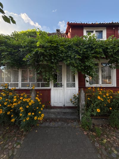 The image shows a rustic, red wooden house with white-trimmed windows and a white double door. The house is partially covered by lush green vines, which also cascade over the front windows. A cluster of bright yellow flowers grows in front of the house, lining the path. The path is made of dark gray interlocking bricks. A small, weathered metal fence is visible to the right of the flowers, partially obscured by greenery. The sky above is blue with scattered white clouds. The scene appears to be in the village of Sobolewo, Poland, suggesting a rural or suburban setting. There are no people or animals visible in the image.