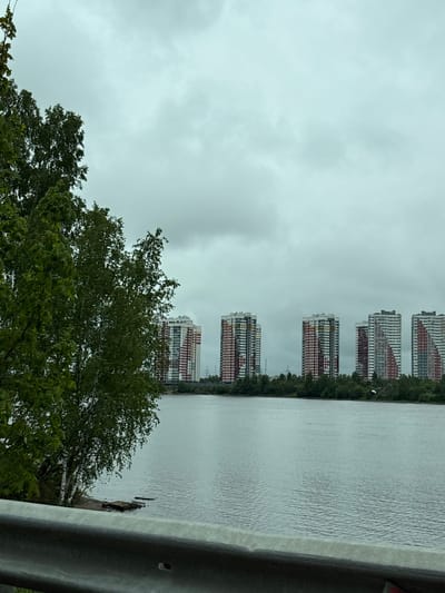 The scene is a view of the river near Krasnaya Zarya, Russia, on an overcast day. In the background are multiple tall, modern apartment buildings lining the opposite riverbank. These buildings are characterized by their white facades and colorful accents in red, orange, and green. The river's surface is calm, showing slight ripples. In the foreground, a section of dark green tree foliage partially obscures the view. A gray metal guardrail runs along the right edge of the image.