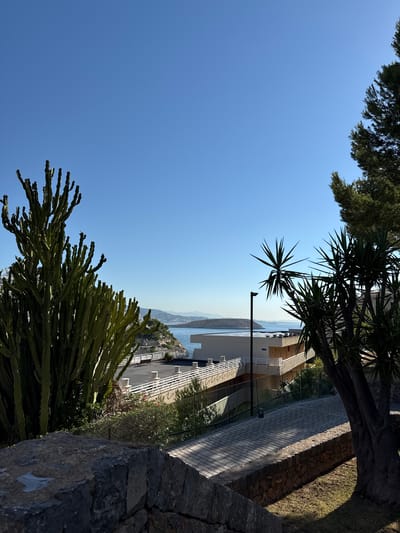 The image depicts a scenic outdoor view, likely taken from an elevated position overlooking a body of water and a coastal landscape. Dominating the foreground are lush green plants, including a large cactus-like plant on the bottom left and the fronds of a spiky tree on the top right. These plants frame a clear blue sky, suggesting fair weather.
In the mid-ground, a paved walkway lined with stone walls and greenery leads down towards a complex of buildings with white railings and balconies. A dark pole with a small object perched on it is visible near the spiky tree. Beyond the buildings, a body of water, likely the sea, stretches towards a hazy horizon where mountains are faintly visible. The presence of a paved walkway, buildings with railings, and the view of the sea suggests a resort or residential area.
The lighting and the clear sky indicate it is daytime, likely late morning or early afternoon, with bright sunlight casting shadows. The orientation of the image is rotated, with the sky occupying the majority of the left side and the ground features on the right. There are no people or specific objects that indicate a particular activity or event, beyond the general scene of a beautiful, sunny day in a coastal location. The location context of Badia De Palma, Spain, aligns with the visual cues of a Mediterranean seaside environment.