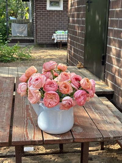 A bouquet of pink roses is arranged in a light blue watering can. The watering can sits on a rustic wooden table. In the background, a brick building with a green door and a window is visible. The scene appears to be outdoors, with greenery and sunlight casting shadows on the table. The location is Kzyl-Bairak, Russia. There are no people in the image.