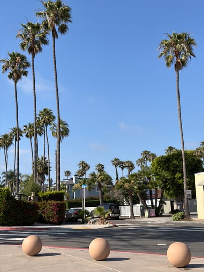 The image depicts a street scene in Solana Beach, California, United States. The view is dominated by tall, slender palm trees lining the street, with a clear blue sky overhead. The trees extend high into the frame, their crowns of fronds catching the sunlight.
On the right side of the image, there is a road with painted lane lines and rounded, beige-colored concrete barriers. A building or structure is visible, and a 25 miles per hour speed limit sign. Vegetation, including bushes and trees, is present along the side of the street.
The overall impression is a typical southern California streetscape with palm trees and sunny weather.