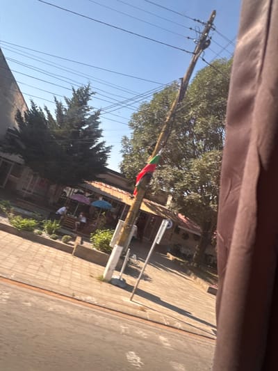 In the city of Slivo Pole, Bulgaria, a photograph captures a street scene under a clear blue sky. A wooden utility pole stands prominently, adorned with a Bulgarian flag featuring white, green, and red horizontal stripes. The pole is surrounded by overhead power lines. To the left, a building with windows and a slanted roof suggests a commercial establishment or residence. In front of this building, several people are seated at a table under umbrellas, indicating an outdoor seating area, possibly a cafe or restaurant. Lush green vegetation, including bushes and trees, surrounds the area, adding to the urban landscape. A paved sidewalk runs alongside the street, which is visible in the foreground. A dark brown fabric, likely part of a curtain or drapery, occupies the right side of the frame, partially obscuring the view.
