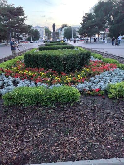 In Veshenskaya, Russia, a man with a bald head is watering a flowerbed with a hose. The flowerbed is filled with red and yellow flowers, as well as silvery-green foliage, and is surrounded by manicured bushes. In the background, a statue of a man stands on a pedestal. People are visible walking in the distance along a paved walkway, and cars are driving on a road. The sky is overcast, suggesting it is either early morning or late evening. The scene is a public space within the city, possibly a park or a street with decorative landscaping.