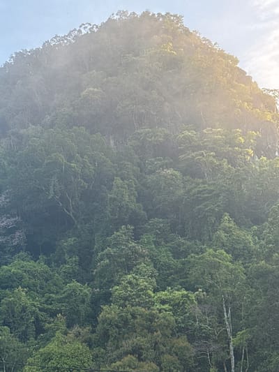 This is a medium-shot, vertical photograph of a densely forested mountain in Wang Kelian, Malaysia. The mountain dominates the frame, its slopes covered in a thick canopy of lush green trees. Sunlight filters through the trees on the right side of the image, creating a soft glow and highlighting some of the upper foliage. A light mist or fog hovers around the upper part of the mountain, obscuring some of the details and creating a hazy effect. The sky above is a pale blue with wispy clouds, particularly visible on the right side where the sunlight is strongest. The bottom of the frame shows the very tops of some smaller trees and what appear to be power lines, suggesting the vantage point is from a slightly lower elevation. There are no people or visible animals in the image. The overall impression is one of a natural, slightly misty mountainous landscape.