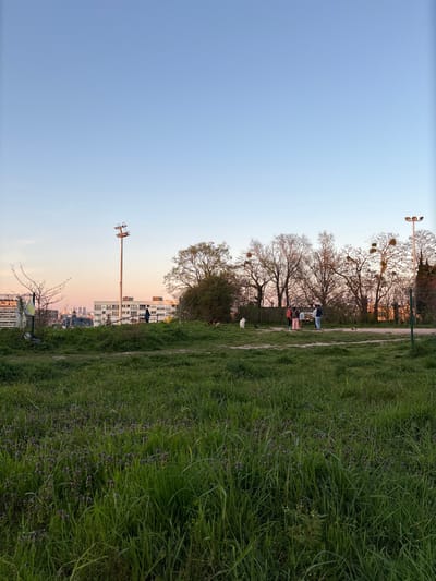 This image depicts an elevated green space in Ivry-sur-Seine, France, likely a park or common area, with a distant view of the Parisian skyline visible on the horizon, including a notable dome structure. The scene is illuminated by the warm, low light of late afternoon or early evening, evidenced by the gradient sky transitioning from clear blue overhead to a soft orange-pink near the horizon. The foreground consists of an expansive area of unkempt, tall green grass interspersed with patches of purple flora. A light-colored dirt path meanders through the midground. To the right of the path, a group of four individuals stands, appearing to be engaged in conversation. One person wears a light pink top, another a blue shirt. A white, medium-sized dog is visible walking left of this group, and at least one smaller, darker animal is near the group. Further left, a solitary individual in dark clothing stands near a tall metal structure resembling a light pole or antenna mast, positioned behind a bare-branched bush. This pole features a square array of fixtures at its apex. A second, similar light pole with a cluster of lights is visible on the far right, partially obscured by trees. A line of diverse trees, some with full green foliage and others bare with visible mistletoe clusters, forms a natural barrier across the midground. Beyond these trees, multi-story urban buildings are visible, with the distant cityscape including the identifiable dome structure. A section of a chain-link fence is present on the far right, and a smaller metal structure with mesh is on the far left.