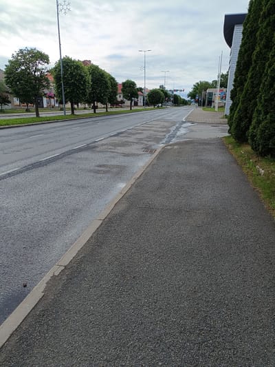 The image shows a street scene in Jõhvi, Estonia, likely on a cloudy day. The foreground is dominated by a paved sidewalk. To the left of the sidewalk is a wet asphalt road with white lane markings. Beyond the road, a row of deciduous trees with full green foliage lines the street. In the background, buildings with reddish-brown roofs are visible, as well as lampposts and traffic lights. On the right side of the image, a tall, dense evergreen hedge lines the edge of the sidewalk. The overall impression is one of a quiet, possibly residential or commercial street.