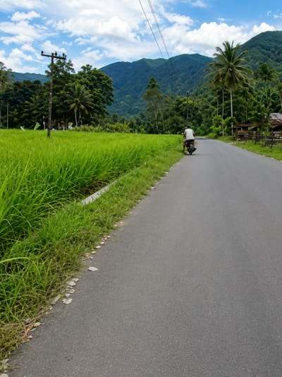 In the city of Sosor Dolok, Indonesia, a lone motorcyclist wearing a white shirt and dark pants rides down a paved asphalt road. The road is flanked on the left by a vibrant green rice paddy, separated from the road by a low concrete border and a strip of grass. On the right side of the road, a wooden fence encloses a cluster of simple structures, partially obscured by dense foliage. In the background, a verdant mountain range rises, covered in lush trees that extend to the horizon under a partly cloudy blue sky. Telephone poles with visible wires are present on the left side of the image, adding to the rural atmosphere. The scene captures a peaceful, everyday moment in the Indonesian countryside.