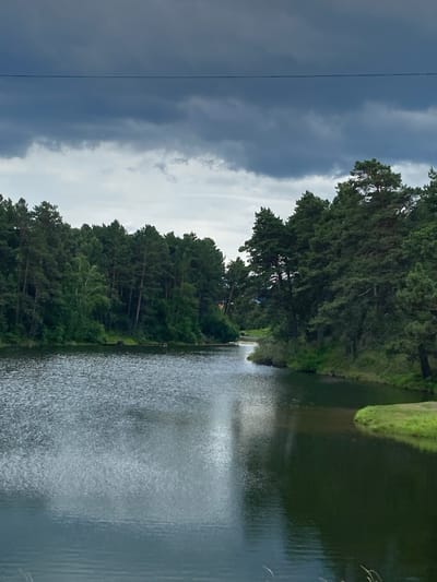 The image depicts a serene lake bordered by a dense evergreen forest. The sky is overcast with dark, heavy clouds, suggesting an impending storm. The water's surface is rippled, reflecting the muted light. A thin black wire is visible stretching horizontally across the top of the frame, crossing the dark clouds. The foreground shows the calm lake water, while the middle ground is dominated by the thick forest lining the lake's edge, with a small grassy embankment visible on the right. The location is identified as Sosnovka, Russia.