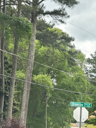The image shows a street view in Mountain Park, United States of America. A street sign indicates "Brownlee Road SW 4960". Trees with green foliage are prominent in the foreground and background, with power lines running across the scene. There is also a stop sign near the street sign. The sky is overcast.