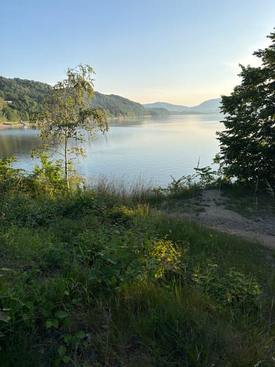 The image shows a serene natural landscape next to a body of water, likely a lake, as suggested by the gentle ripples on its surface and the distant, tree-covered hills. The time of day appears to be late afternoon or early evening, given the soft, warm light illuminating the scene. In the foreground, lush green vegetation, including tall grasses and leafy bushes, dominates the right side of the frame, with a narrow dirt path winding through it. A slender tree with delicate, drooping branches stands prominently in the center-left, its leaves catching the sunlight. To the left of the tree, a section of the water's edge is visible, with a few distant figures or boats suggesting human presence. The background features rolling hills covered in dense green forests, receding into the distance under a clear, pale blue sky. The overall impression is one of peaceful seclusion and natural beauty. The description indicates the location is in Lipie, Poland, which is known for its natural landscapes and lakes.