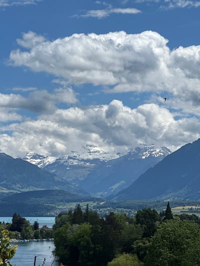 The image is a vertical, eye-level shot of a scenic landscape featuring a lake, mountains, and a cloudy sky, taken from an elevated position on the outskirts of Thun, Switzerland. In the foreground, lush green trees and foliage are visible, with some branches extending into the bottom of the frame. A body of water, likely Lake Thun, occupies the middle ground, with several sailboats dotting its surface. Along the shoreline, houses and docked boats are present. Beyond the lake, rolling hills covered in greenery give way to a majestic mountain range. The peaks of these mountains are capped with snow, and dramatic clouds, both white and gray, fill the sky. A single bird is captured in flight in the upper right quadrant of the image. The overall impression is one of natural beauty and tranquility.