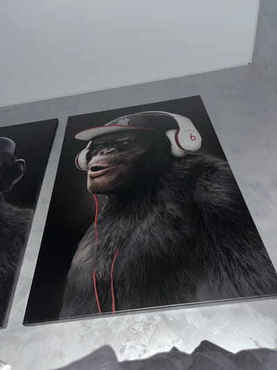 Two pieces of art are displayed on a textured wall. The upper artwork is a close-up image of a dog wearing white headphones with red accents. The dog has dark fur and its mouth is slightly open. The headphones have a red circular logo on them. The lower artwork, only partially visible, appears to be a similar image of a dog, also wearing headphones. The wall has a rough, speckled texture, with a greyish-white color. To the right of the artwork, a shadow profile of a face is visible on the wall. The lighting suggests it is daytime, and the setting appears to be indoors. There is no visible text in the image.