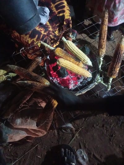 In Tundun Wada South, Nigeria, a group of people are gathered around a fire pit with a grill, roasting corn. The image captures a close-up view of several ears of corn being cooked over glowing red embers. The corn is positioned on a metal grill rack, some of which are beginning to char. In the background, a person's legs are visible, suggesting they are standing near the fire. The overall scene depicts an outdoor cooking activity, likely a social gathering or a meal preparation. The ground is covered in dirt and some debris, typical of an outdoor environment. The lighting suggests it might be evening or nighttime, as the fire is a primary light source.