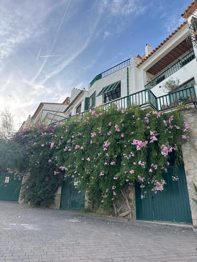 This image depicts a residential street scene in Calella De Palafrugell, Spain, looking upwards along an inclined paved surface. The foreground consists of a gray interlocking paver block pathway. On the right and extending across the mid-ground, a stone retaining wall rises, supporting a series of white-painted multi-story buildings. This wall is heavily overgrown with dense green foliage, prominently featuring vines with numerous clusters of light pink flowers. Further left, a section of the wall is covered in green foliage mixed with purple flowers.
Embedded within the lower section of the vegetation-covered wall are at least three dark green, vertically paneled wooden gates, indicative of garage or private entrances. One gate on the far left has a small yellow sign affixed. Another gate slightly right of center shows exposed root structures of the climbing vines.
The buildings above the wall feature white stucco exteriors, terracotta-tiled roofs, and dark green railings on balconies and terraces. Several windows are visible, some with closed dark green louvered shutters and one with an extended dark green striped awning. Potted plants, including a small olive tree, are visible on some balconies.
The sky occupies the upper portion of the image, displaying a light blue hue with scattered, wispy white clouds. Multiple linear white contrails from overhead aircraft are visible against the sky. No individuals, animals, or active interactions are present in the scene. The overall lighting suggests natural daylight.