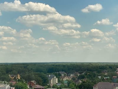 The image depicts a residential area with numerous houses nestled amidst dense green trees. A vast expanse of forest stretches across the horizon, and in the far distance, a city skyline is faintly visible. The sky is partly cloudy, with fluffy white clouds scattered against a pale blue backdrop. The scene appears to be a suburban or rural landscape, potentially on the outskirts of a city.