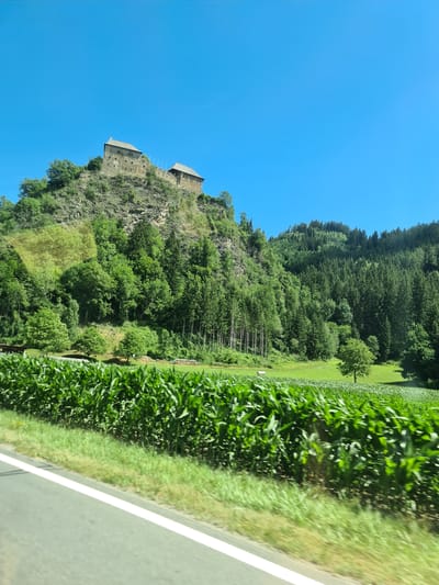 The image depicts a scenic view of a castle situated on a rocky hill overlooking a lush green valley. In the foreground, a vibrant cornfield stretches across the frame, bordered by a grassy verge and a paved road with a white line. The background is dominated by a dense forest that climbs up the hillside, reaching towards a clear blue sky. The castle, made of stone with tiled roofs, appears to be an ancient structure, possibly a ruin or a preserved historical site. The overall impression is one of natural beauty and historical significance, with the castle serving as a prominent focal point against the backdrop of the Austrian countryside, likely in or near Dürnstein in der Steiermark, Austria.