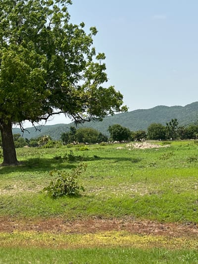 The image depicts a rural landscape with a large tree in the foreground on the left, casting a shadow on the green grass. In the mid-ground, there is a patch of dry, light-colored soil with some vegetation. Beyond this, several clusters of trees are visible, with some appearing to be part of a small settlement, indicated by hints of round structures. In the background, rolling green hills form a backdrop under a clear blue sky. The scene is devoid of any people or animals. The environment suggests a dry season, given the color variation in the grass and the dry soil patch. The location is identified as Atawa, Nigeria.