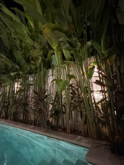 The image captures an outdoor scene in Tumbak Bayuh, Indonesia, likely at night or in low light conditions. A swimming pool with turquoise water is visible on the right side of the frame, partially obscured by foliage. Lush green plants, including broad-leafed vegetation and thin, grass-like structures, dominate the foreground and middle ground, obscuring part of a light source. The light source, seen through the foliage, features a patterned screen or latticework. The overall impression is that the pool area is landscaped with dense, tropical vegetation.