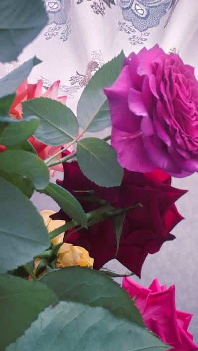 The image displays a close-up view of several roses in various colors, including a large magenta rose in the upper right, a deep red rose below it, pink roses in the mid-ground, and yellow roses peeking through. The roses are arranged in a bouquet, with lush green leaves interspersed throughout. The background appears to be a light-colored fabric with a subtle pattern. The lighting suggests an indoor setting, possibly a home in the village of Troițcoe, Moldova, where the arrangement might be a decorative element. There are no people or discernible actions captured in this still life.