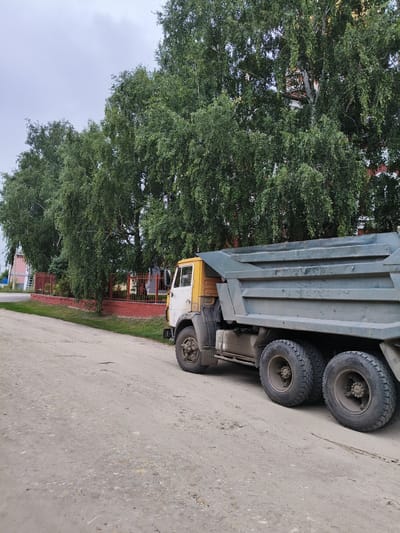 A side view of a yellow and gray dump truck is captured on a dirt road in Petrovsk, Russia. The truck, partially visible from the front cabin to the rear wheels, is positioned on the right side of the frame. Its large, gray dump bed is prominent, showing signs of wear and tear. The truck has multiple sturdy wheels, with the rear ones appearing in tandem. The road surface is sandy and uneven, with scattered pebbles.
Behind the truck, a line of mature birch trees with lush green foliage forms a dense backdrop. Their white trunks are partially visible amongst the leaves. A red metal fence runs along the base of the trees, separating them from the road. To the far left, a light pink building with a white roof is partially visible, suggesting a residential or commercial area adjacent to the road. The sky above is overcast with a pale gray hue. The overall scene depicts a rural or semi-urban environment, likely on a cloudy day. No people are visible in the image.