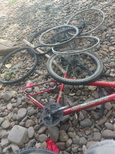 The image shows a bicycle lying on a bed of smooth, grey river stones. The bicycle is red and appears to be in a state of disrepair, with several wheels detached and scattered around the frame. One of the detached wheels has a visible cassette of gears. The bicycle frame has some text on it, but it is difficult to read clearly. There are also some green plants and dried leaves interspersed with the stones. The scene is outdoors, and the lighting suggests it is daytime. The overall impression is one of abandonment or neglect of the bicycle. There are no people visible in the image. The location context is Korolevo, Ukraine.