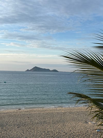This is a vertical, eye-level photograph of a beach in Song Cau, Vietnam. The image captures a serene coastal scene with a focus on the ocean, sand, and a distant island. In the foreground, a palm frond extends from the right edge of the frame, partially obscuring the view of the sea and beach. The sand is a light tan color and appears to be mostly smooth with some footprints. The ocean is a calm, deep blue with gentle waves lapping at the shore. In the distance, a large, dark island with a peaked formation rises from the water. The sky is a pale blue with scattered white clouds. A small, green boat is visible in the middle ground of the ocean. The overall impression is one of tranquility and natural beauty.