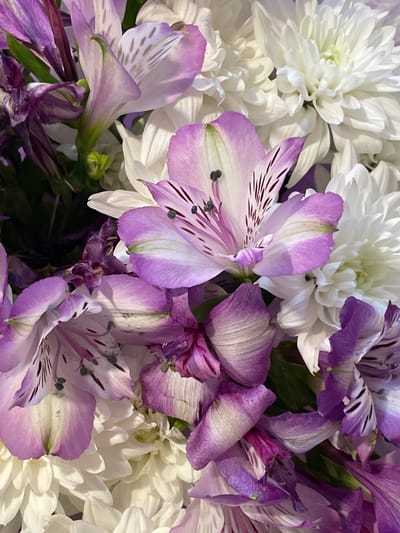 A close-up, overhead shot of a floral arrangement features white chrysanthemums and purple and white alstroemeria flowers. The alstroemeria petals have dark purple streaks. The arrangement is predominantly purple and white, with some green foliage visible. The background is a soft blur of the flowers. The image is taken in the city of Krasnyi Krym, Russia. There are no people or actions depicted in this image.