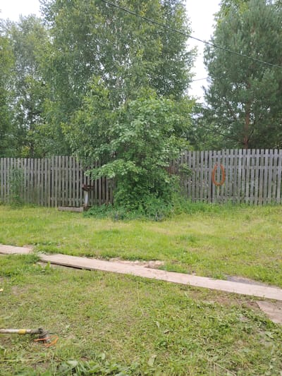 The image depicts a weathered wooden fence in what appears to be a rural or suburban backyard in Gorshki, Russia. The fence is made of vertical planks and stretches across the frame. In front of the fence, there is a patch of mown grass, and further in the foreground, there are two long wooden planks laid on the ground, suggesting ongoing yard work or construction. Behind the fence, various trees, including birch and pine, are visible, indicating a green, possibly forested, environment. On the fence, to the right of center, an orange hose is hanging, coiled up. To the left of center, near a small tree, there is a metal structure with a faucet, possibly a well or an outdoor water source. The sky is overcast. The scene is static and no individuals are present.