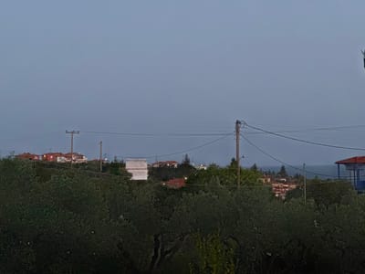 The image depicts a view in Γερακινή, Greece, at dusk. In the foreground, dark green olive trees dominate the lower portion of the frame. Houses with red-tiled roofs are visible amongst the trees in the midground. Utility poles and power lines traverse the scene. The sky is a muted blue-grey. A partial view of the sea is visible in the distance. A white billboard stands out among the structures.