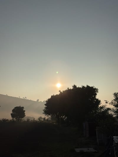 The image depicts a landscape scene in San Andrés Payuca, Mexico, under hazy lighting conditions, likely during sunrise or sunset. The primary subjects include the sky, obscuring the exact location, trees, and what appears to be a hillside or distant landform. The sun is visible through the haze, with sunrays, partially obscured by foliage. The trees are silhouetted and a building is partially visible in the dark. The environment suggests a rural or semi-rural setting with natural features dominating the frame. There is no visible human activity or interaction. The objects present consist of natural elements and the mentioned building.