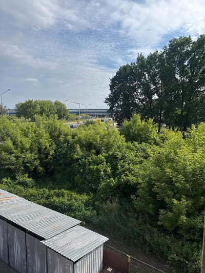 The image captures a view of a lush green area with trees and bushes, typical of suburban landscapes. In the background, a highway with cars and streetlights is visible, suggesting an urban or semi-urban setting. The sky is partly cloudy with a light blue hue. The foreground features a corrugated metal structure, possibly a shed or an industrial building, with a rusty patina. The presence of the corrugated metal structure and the highway hints at a location in or near an industrial or commercial zone within Marki, Poland. The overall scene suggests a blend of natural greenery and man-made infrastructure.