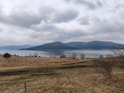 The scene depicts a natural landscape in the city of Sv. Konstantin, Bulgaria, under an overcast sky. A large body of water, likely a lake or reservoir, occupies the mid-ground, appearing calm and reflecting the grey clouds. The water extends from the left side of the frame to approximately two-thirds across horizontally. Beyond the water, a range of rolling hills or mountains covered in dense, dark green coniferous forest rises, forming the distant horizon.
In the foreground, the terrain consists primarily of dry, light brown and yellow grassy fields, indicative of late autumn or early spring. Closer to the viewer, patches of greener grass are present. A dark, muddy track or disturbed earth runs horizontally across the lower-center of the foreground. Several bare deciduous trees with light-colored trunks are scattered along the water's edge in the mid-ground. A cluster of dark green coniferous trees is visible on a slight rise in the foreground, near the water on the left side. On the far right, dense, bare deciduous bushes with thin branches are prominent. No human figures, man-made structures, or animals are visible within the frame.