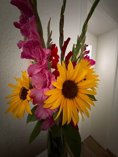 A close-up, still life photograph captures a vibrant floral arrangement in a glass vase. The bouquet features large, bright yellow sunflowers with dark brown centers, interspersed with tall, slender gladiolus flowers in shades of pink and red. Green leaves and stems are visible throughout the arrangement. The background consists of a textured, light-colored wall on the left and a bright, slightly out-of-focus doorway or corner on the right. The lighting appears to be from the right, casting soft shadows. There is no indication of the city of Dorsten, Germany, in the image.