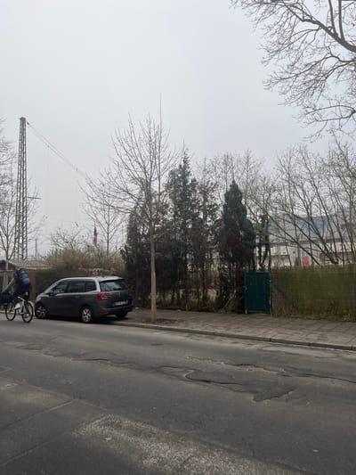 This is a daytime outdoor street scene viewed from a low angle, under a uniformly overcast sky. The main elements are horizontally composed across the frame, despite the image's vertical orientation.
In the mid-ground, a dark grey Citroën C3 Picasso is parked on the right side of an asphalt road. The car has a German license plate, visibly starting with "BA," indicating Bamberg, Germany. To the left of the car, a person, partially visible and dressed in dark clothing, stands with a bicycle. The bicycle has a large, heavily packed bag or child seat on its rear rack. The road surface exhibits cracks and patches.
To the left of the road is a paved sidewalk, followed by a grassy strip. This strip is densely populated with a mix of deciduous trees, currently bare of leaves (suggesting late autumn, winter, or early spring), and some evergreen trees. Further back on this side, a dark green utility box or cabinet is visible on the grass, behind which a fence runs. Through the bare tree branches, a large building, possibly a stadium or industrial facility, can be discerned in the distant background.
A prominent feature in the far background, particularly on the left side, is a tall metal construction crane. The sky is a bright, featureless grey, indicating diffused light without direct sunlight. The overall atmosphere is calm and typical of an urban or suburban street during a cool, possibly wintery, day. No specific events or emotions are discernible beyond the everyday presence of vehicles and a pedestrian.