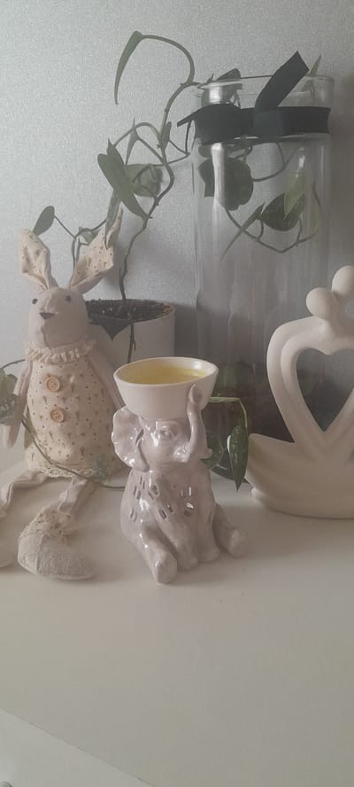 The image depicts a collection of decorative objects arranged on a white shelf against a textured light gray wall. On the left is a plush fabric rabbit with long ears, wearing a patterned dress with three buttons and a ruffled collar. Next to it, a light pink ceramic elephant sits with its trunk raised, holding a small white bowl filled with a yellow liquid. To the right of the elephant is a white ceramic sculpture of two figures embracing, forming a heart shape. Behind these objects, a tall clear glass vase contains a potted plant with green leaves and a dark ribbon tied around the neck of the vase. The overall scene is a still life arrangement of home decor items. There is no identifiable information within the image that would indicate its location in Monaghan, Ireland.